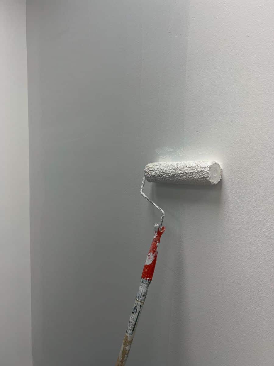 Fresh coat of paint on an interior feature wall